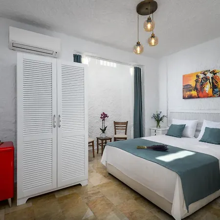 住宿加早餐酒店 Fethi Baba Konagi