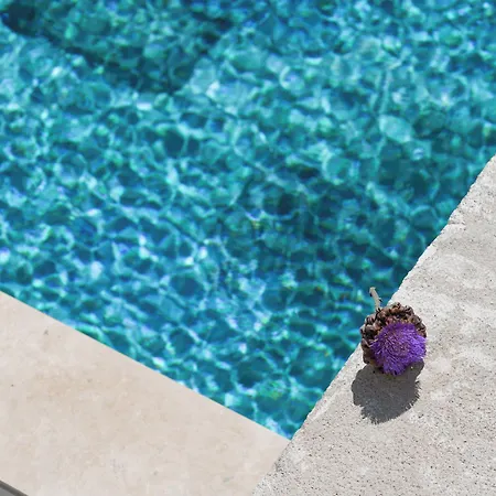 住宿加早餐酒店 Fethi Baba Konagi *