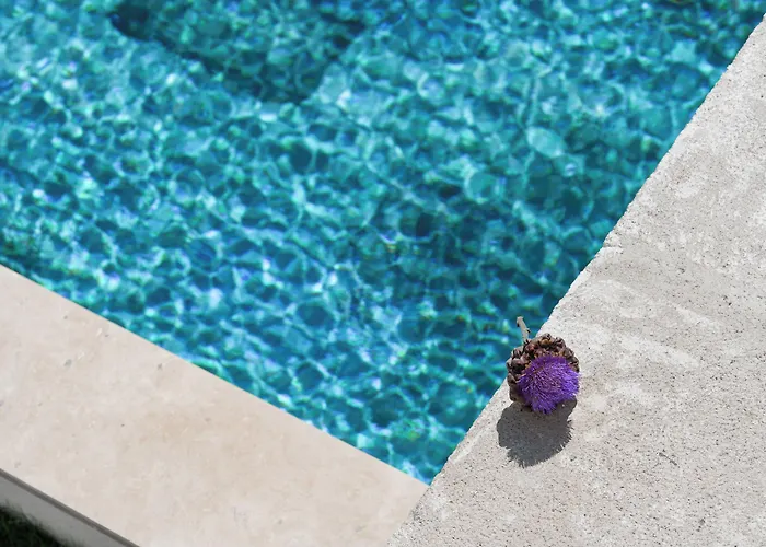 Oda ve Kahvaltı Fethi Baba Konagi *